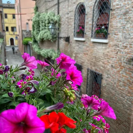 Chez Madame * Ferrara